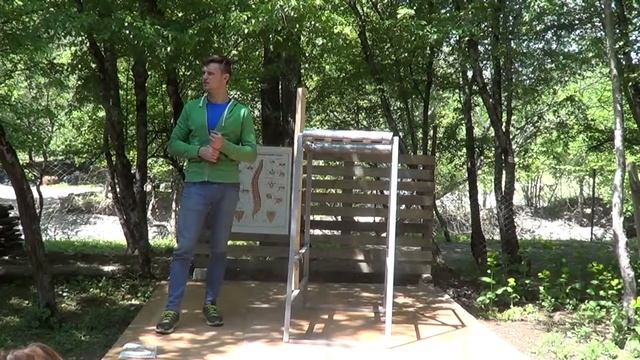 Отзыв по методике восстановления позвоночника смотреть онлайн