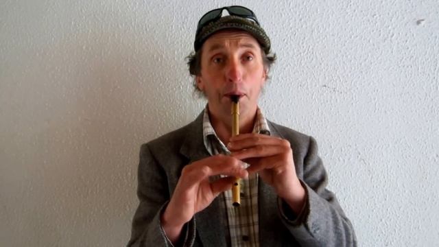 Patrick Fox: Musician