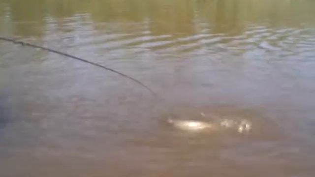 VID 20170827 124849 смотреть онлайн