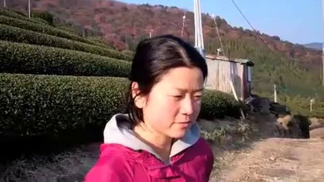 A young tea farmer talks about her family farm смотреть онлайн