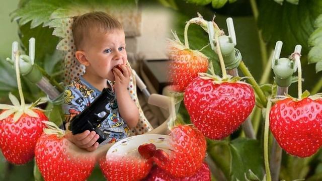 Будь счастлива! (Тане). 2022. смотреть онлайн