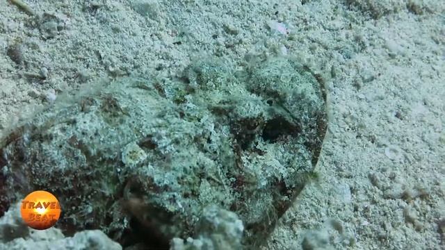 Abu Ramada North - Hurghada - Egypt смотреть онлайн