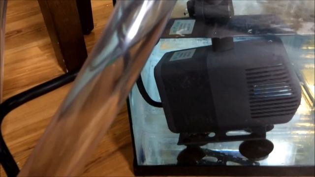 29 Gal Reef Tank/ saltwater tank, Refugium Flow/ Leak Test смотреть онлайн