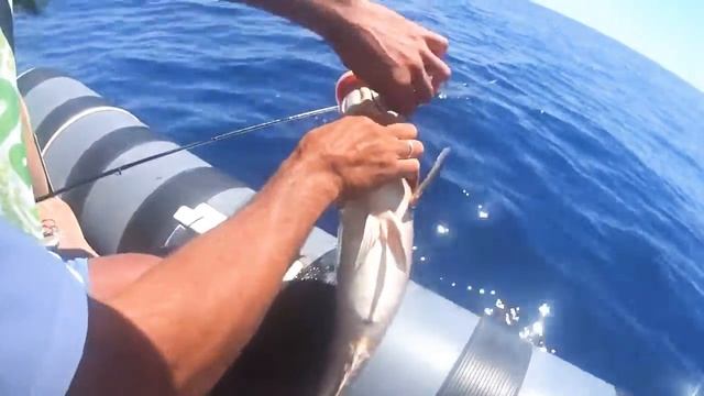 Ocean gig trabucco team greece🇬🇷 смотреть онлайн