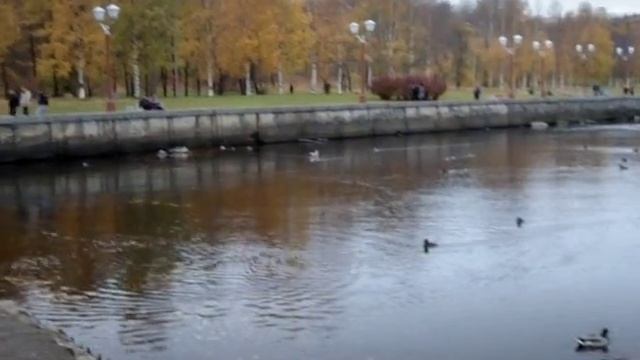 5e1120e6231f4529e2e6ec651ab0f653_1737736314439.mp4 смотреть онлайн