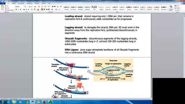 BIO 160 lecture chpt 16 sp 17 default1 смотреть онлайн