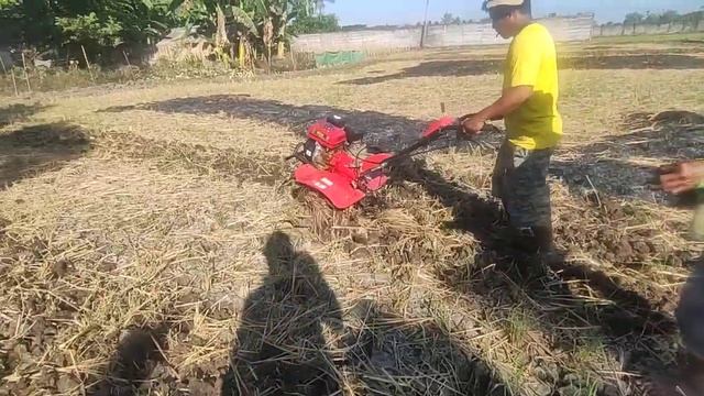 coltivator/bajak mini bekas lahan padi смотреть онлайн
