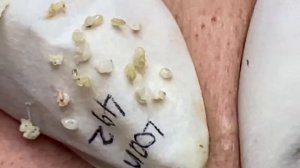 Enjoy Your Day With Hien Nguyen Spa # 2357