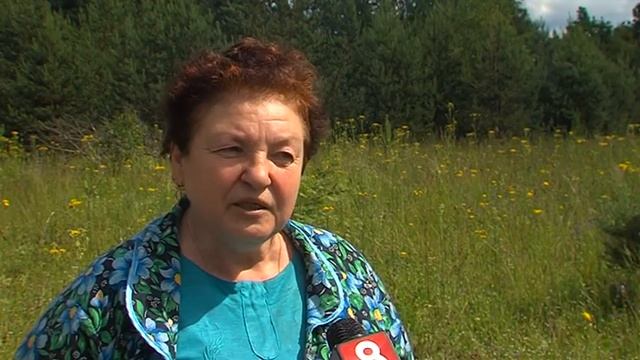 Импульс ТВ - Новости города от 05.07.17 смотреть онлайн