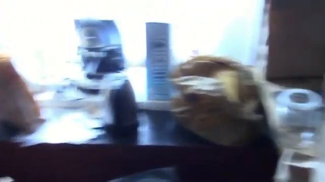 "Настоящий Вятский Квас" изъяли кировские полицейские смотреть онлайн