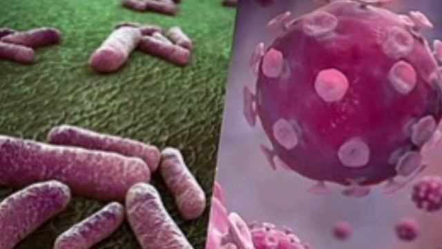 Tonsillitis In Children Causes Symptoms And Treatment/Galay Ka Infection