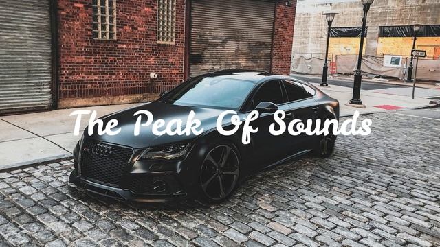 Tiësto - The Business (Leonov & Gurevich Remix )