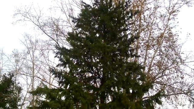 Вижу будущее, делюсь. смотреть онлайн