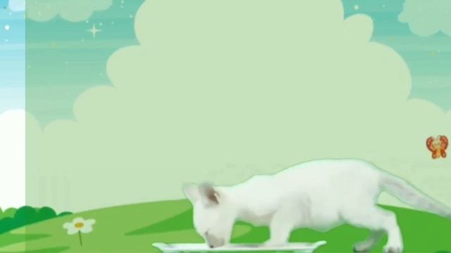 Meow Meow Song L Cat Song L #animatedvideo #popularrhymes