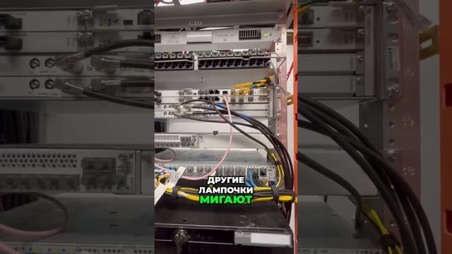 Основы электрической панели: Контроль и поддержание работоспособности смотреть онлайн
