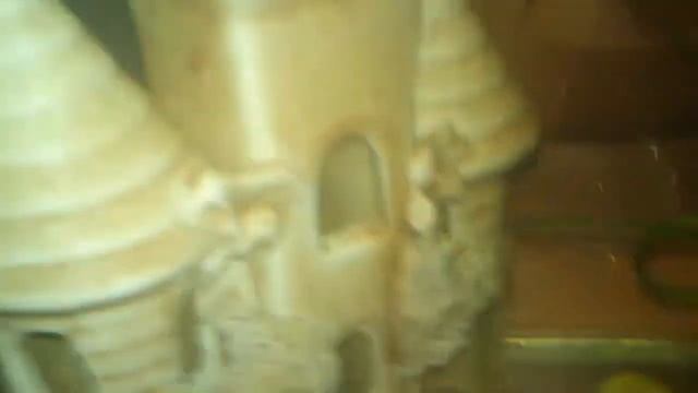 Рыбки ГУППИ смотреть онлайн