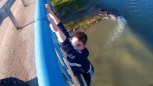 Упал с моста