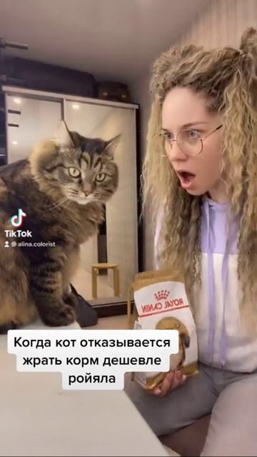КОТ КОМПОТ ПРАНК смотреть онлайн