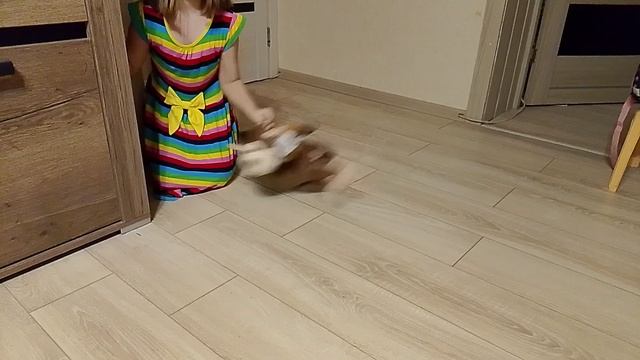 1000006226.mp4 смотреть онлайн