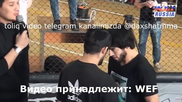 ДАХШААТ! БИР УЗБЕКНИ 50 ТА ҚИРҒИЗ КАЛТАКЛАДИ! ШАРМАНДА смотреть онлайн