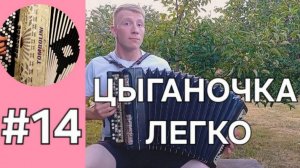 Урок 14. Баян с нуля. Цыганочка с выходом, учимся играть новые исполнительские приёмы.