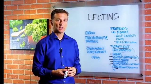 доктор Берг. Лектины, аутоиммунные заболевания, дырявый кишечник