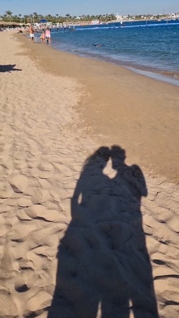 Пляж Наама Бей #египет #шарм #dematravel #отдыхвегипте смотреть онлайн