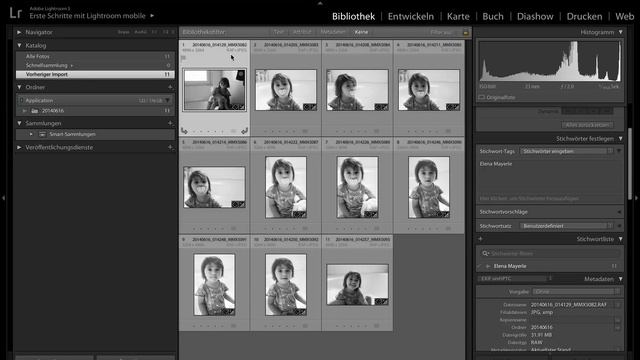 RAW und JPEG in Lightroom verwalten смотреть онлайн