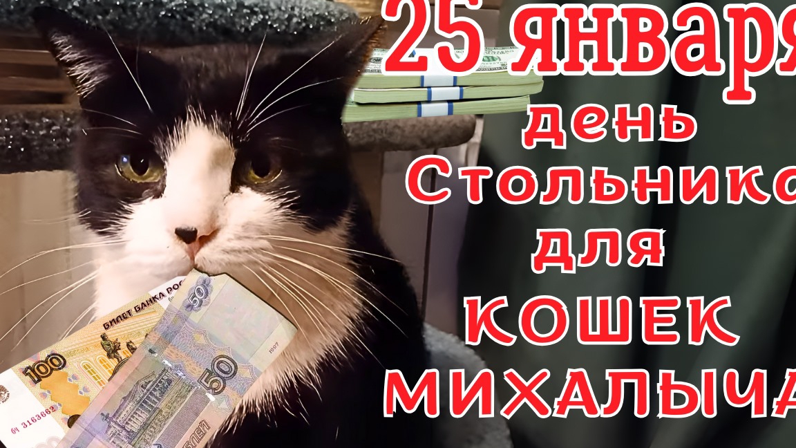 25 Января День Стольника для КОШЕК МИХАЛЫЧА. смотреть онлайн