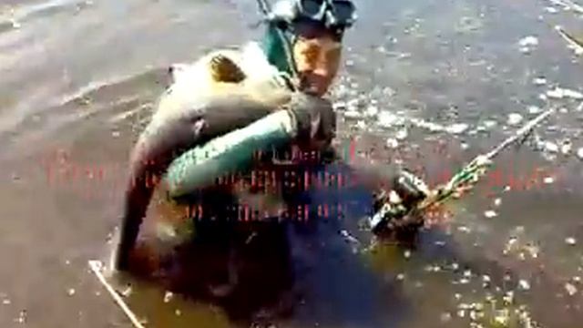 охота на сома днепр смотреть онлайн
