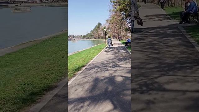Понедельник-день тяжёлый, но кому как повезёт! 11.04.22. в любимом г.Нальчике. смотреть онлайн