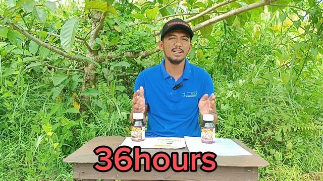 Paraan sa Paggamit ng ANAA PLANT GROWTH PROMOTER sa palay , gulay , ornamentals,cuttings at Iba pa смотреть онлайн