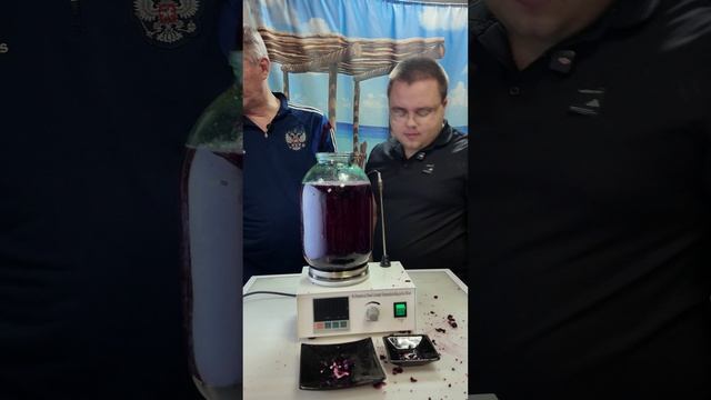 Делаем со студентом настойку от простуды и дегустируем