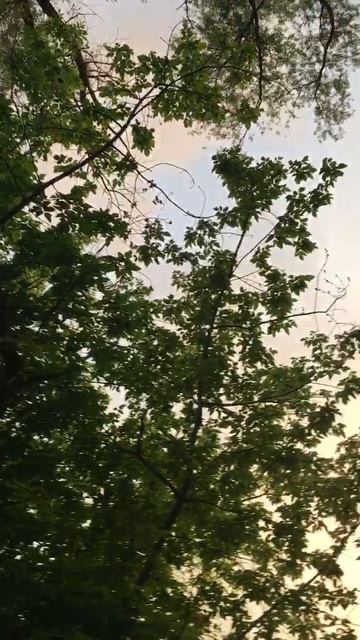 настроение)