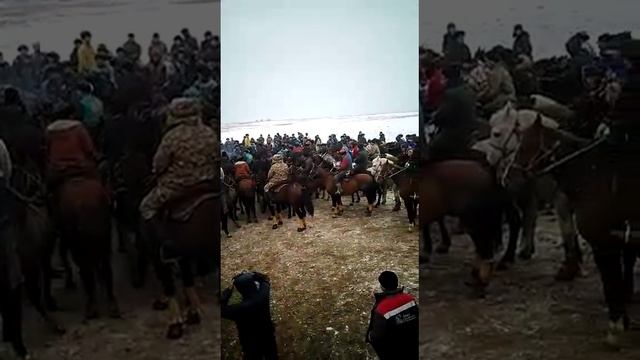 Қайрат болма адам бол 2 маусым 11 серия смотреть онлайн