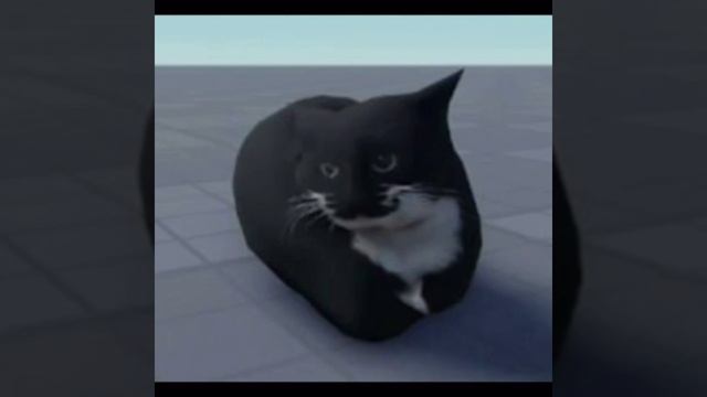 Maxwell the cat official clip смотреть онлайн