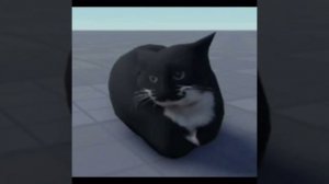 Maxwell the cat official clip