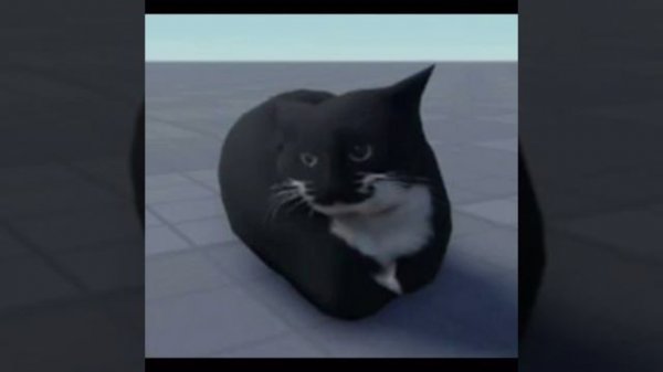 Maxwell the cat official clip