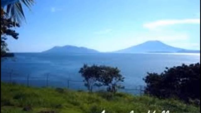 Torres & Su Combo - Tiburon Pequeño смотреть онлайн