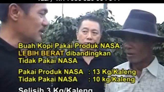 Tutorial Cara Budidaya Kopi Terbaik Panen Cepat Tanpa Musim смотреть онлайн