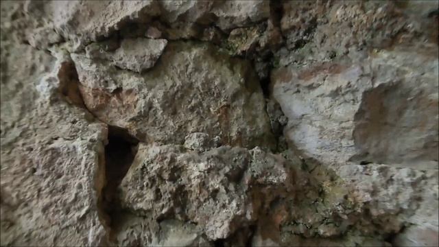 Готические ворота.
Усадьба Демидова смотреть онлайн