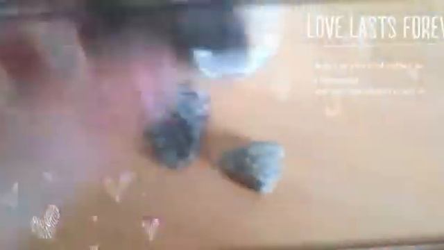 Diy мини аквариум с рыбкой :) смотреть онлайн