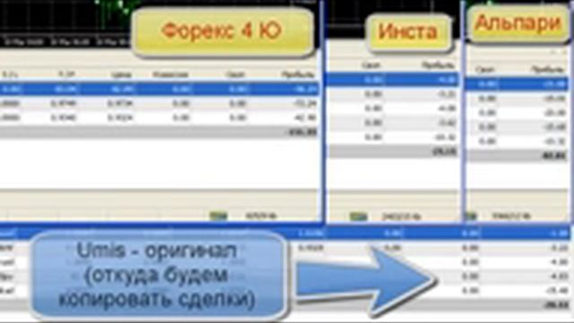 Как ДЦ Forex4you поступает с копировальщиком сделок смотреть онлайн