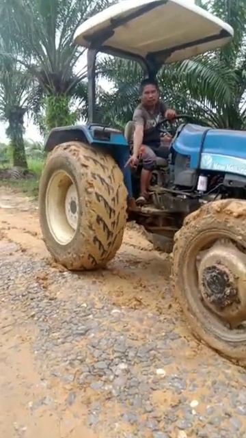 VID-20250125-WA0051.mp4