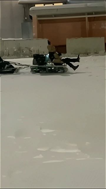 мото собака каток гкз.mp4