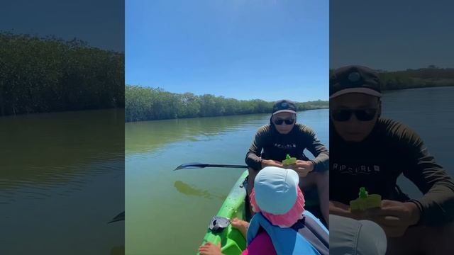 Tandem kayak around Noosa River with a 2 year old смотреть онлайн
