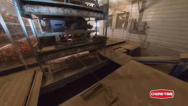 Aviary House Tour: Manure Removal and Under System Lighting смотреть онлайн
