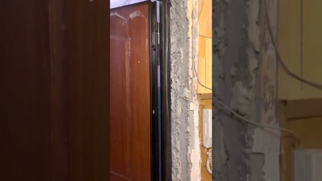 За дверь не взяли денег🤷♀️ Распаковка. Че купила? смотреть онлайн