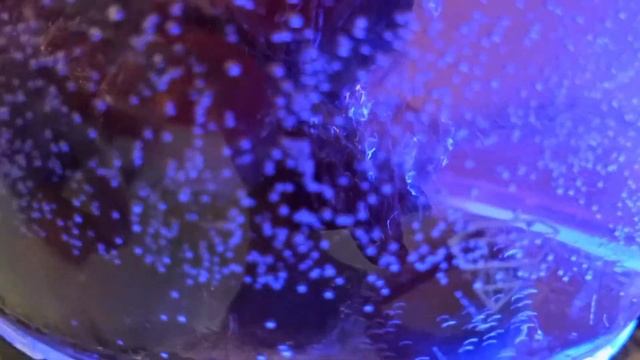 Свежий Компот из тёрн #Margaritavlogofficial 🍵 смотреть онлайн