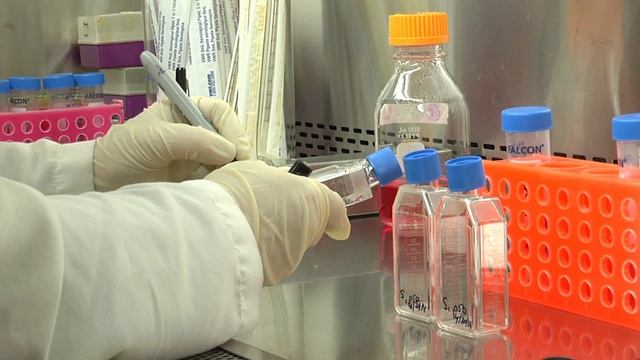 Cell Culture Basics 06: Labeling cell culture flasks смотреть онлайн